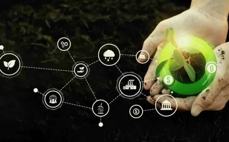 How Cities Benefit from the Economic Value of Biodiversity and Ecosystem Services