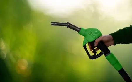 Biofuel Testing Services Market Potential Fueled by Sustainability Trends, Quality Compliance and Regulatory Demands