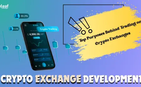 Why Are So Many People Trading on Crypto Exchanges? Exploring the Main Purposes.