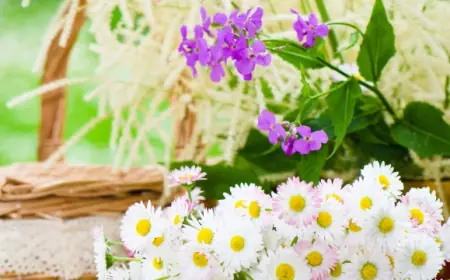 Cut Flowers Market Size, Share, Demand, Forecast (2025 – 2033)