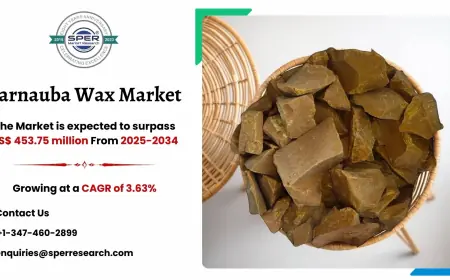 Carnauba Wax Market Size, Share, Growth and Trends 2034