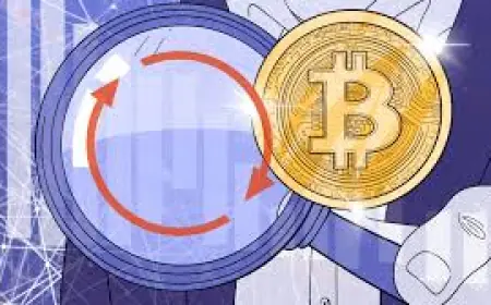 Best Wallet for Crypto – Hot vs. Cold Wallet Comparison