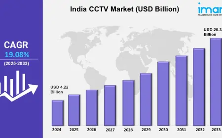 India CCTV Market Share, Trends, Size, Analysis, Growth, Report 2025-2033