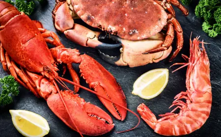 Asia Pacific Chitosan Market Trends 2025, Industry Growth, Forecast Report By 2033