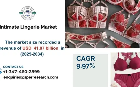 Intimate Lingerie Market Growth, Trends, Share, Analysis and Segment 2034
