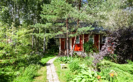 Stump Grinding vs. Stump Removal: Choosing the Right Solution for Your Landscape