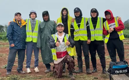 A Gateway to the UK: Understanding the Purpose of the Modern