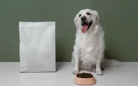 United States PET Packaging Market Industry Demand Outlook & Share Forecast 2025–2033