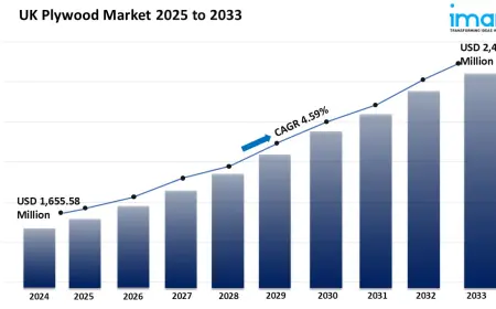 UK Plywood Market Overview Forecast, Trends, and Key Insights 2025-2033