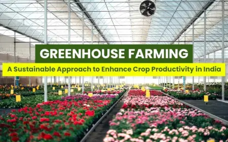 Discover the Importance of Greenhouse Farming and Its Advantages