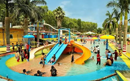 Thrill-Seeker’s Paradise: The Most Exciting Rides at Fun N Food Kingdom