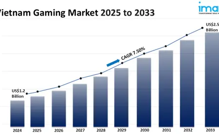 Vietnam Gaming Market Size, Share, Growth, Trends and Forecast 2025-2033