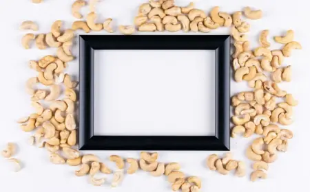 Best Flavored Cashew Nut Brand in India – Taste the Crunch!