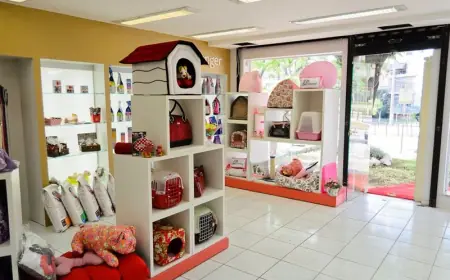 The Best Pet Boutique Ocala FL Pet Parents Can Trust