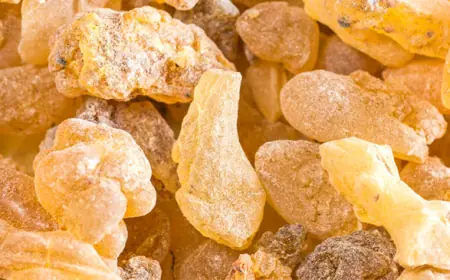 Global Resins Market Outlook 2025–2030: Trends, Growth Drivers & Opportunities