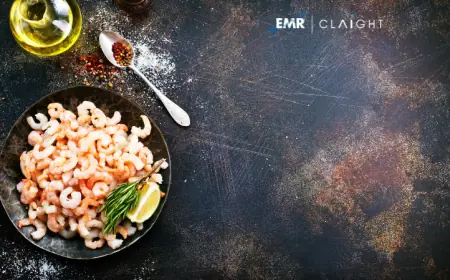 North America Chitosan Market Size, Share And Forecast 2025-2034