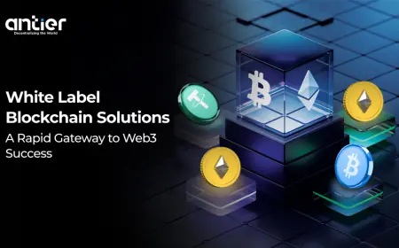 How White Label Blockchain Solutions De-risk Web3 Adoption in Regulated Industries