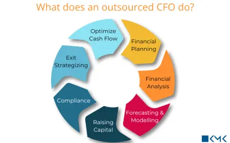 Do Remote CFO Services Actually Save You Money and Help Small Businesses Grow?