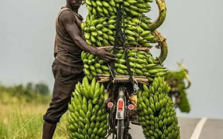 True Story!! From Being A Yellow Banana Seller To Owning Real Estates In Kampala, Agaba tells