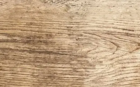 Upgrade Your Home with Vinyl Flooring – Big Flooring Sale in Toronto and the GTA