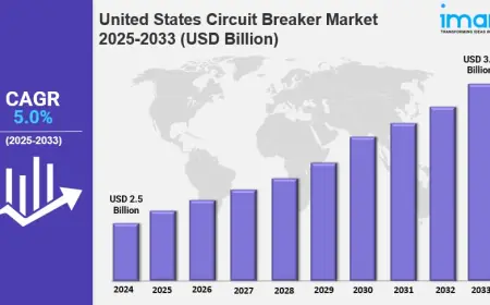 United States Circuit Breaker Market Share, Size, In-Depth Insights, Trends and Forecast 2025-2033