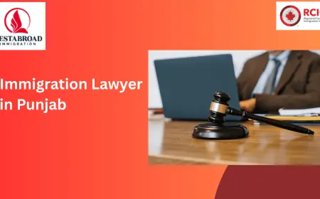 Your Trusted Immigration Lawyer in Punjab: Guiding You Through Uncertainty