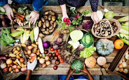 United States Organic Food Market Industry Demand Mapping & Share Outlook 2025–2033