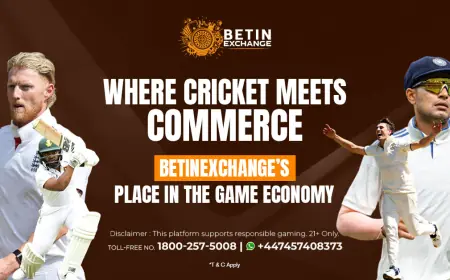 Betinexch | Your Destination for Sports & Entertainment Updates