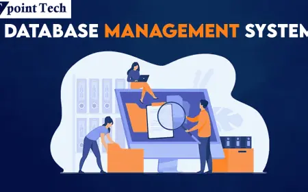 The Role of a Database Management System in Data Handling