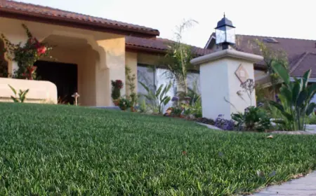 Why Synthetic Turf Grass in Johns Creek, GA Is the Top Choice for Modern Lawns