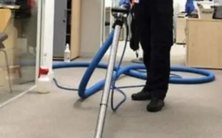 How Professional Cleaning Extends the Life of Your Carpet and Upholstery