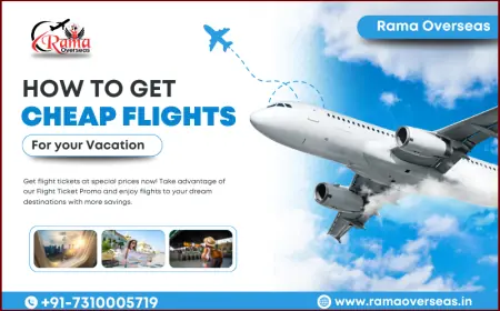 How to Find Cheap Flights for Your Vacation? Everything You Need to Know