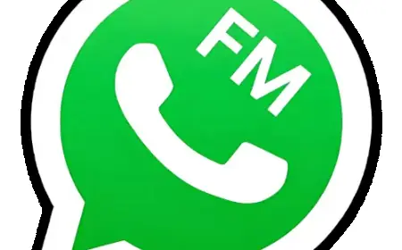 FM WhatsApp – Explore Extra Features Beyond Official WhatsApp