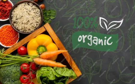 2025-2033년 한국 유기농 식품 시장 규모, 성장 및 트렌드