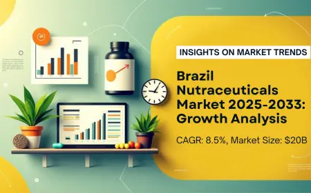 How Large Is the Brazil Nutraceuticals Market and What Growth Is Forecasted by 2033?