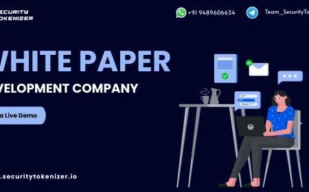 Investor-Ready Crypto Projects: How White Paper Experts Make the Difference