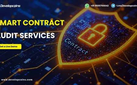 No Bugs, No Rug Pulls: Why Smart Contract Audits Are a Must-Have