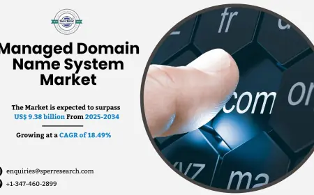 Managed Domain Name System Market Size and Analysis 2034