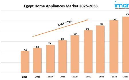 Egypt Home Appliances Market Report 2025 | Growth & Forecast 2033