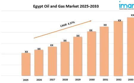 Egypt Oil and Gas Market Size, Growth, and Trends Forecast 2025-2033
