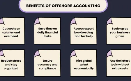 Hire Offshore Accountant vs Virtual Accountant Which One Should Your Business Choose?