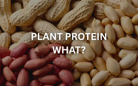 Why Plant Protein Powder is Taking Over Other Protein Powder Including Whey Protein
