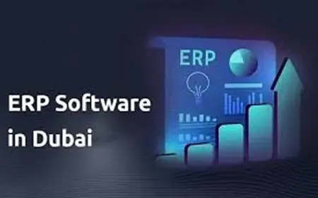Streamline Your Business with the Best ERP Software UAE Has to Offer