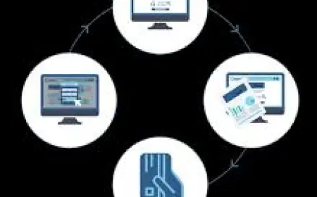 File VAT Return UAE: Everything You Need to Know About UAE VAT Filing