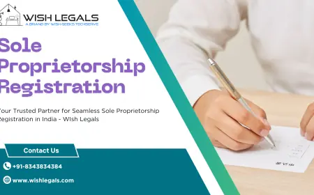 Sole Proprietorship Registration in India: Best Structure for Small Entrepreneurs | Wish Legals