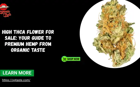 High THCa Flower For Sale: Your Guide to Premium Hemp from Organic Taste