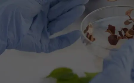 Everything to Know About BSc Forensic Science