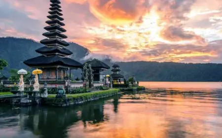 Adventure Awaits: Best New Zealand Tour Packages for Thrill Seekers