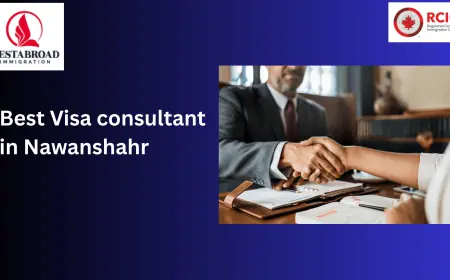 Why Nestabroad Is the Greatest Visa Advisor in Nawanshahr: How to Obtain Your Canadian Dream