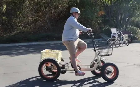 Quadricycle and Tricycle Market 2030 Analysis & Forecasts